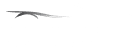 Motointel.ai Automotive Intelligence